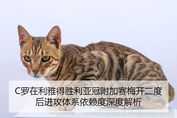 luo-zai-li-ya-de-sheng-li-ya-guan-fu-jia-sai-mei-kai-er-du-hou-jin-gong-ti-xi-yi-lai-du-shen-du-jie-xi-2-995.jpg