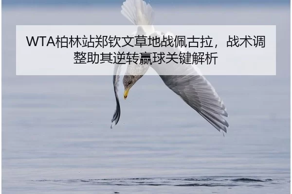 bo-lin-zhan-zheng-qin-wen-cao-di-zhan-pei-gu-la-zhan-shu-tiao-zheng-zhu-qi-ni-zhuan-ying-qiu-guan-jian-jie-xi-2-675.jpg