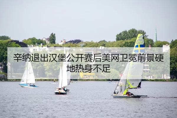 辛纳退出汉堡公开赛后美网卫冕前景硬地热身不足